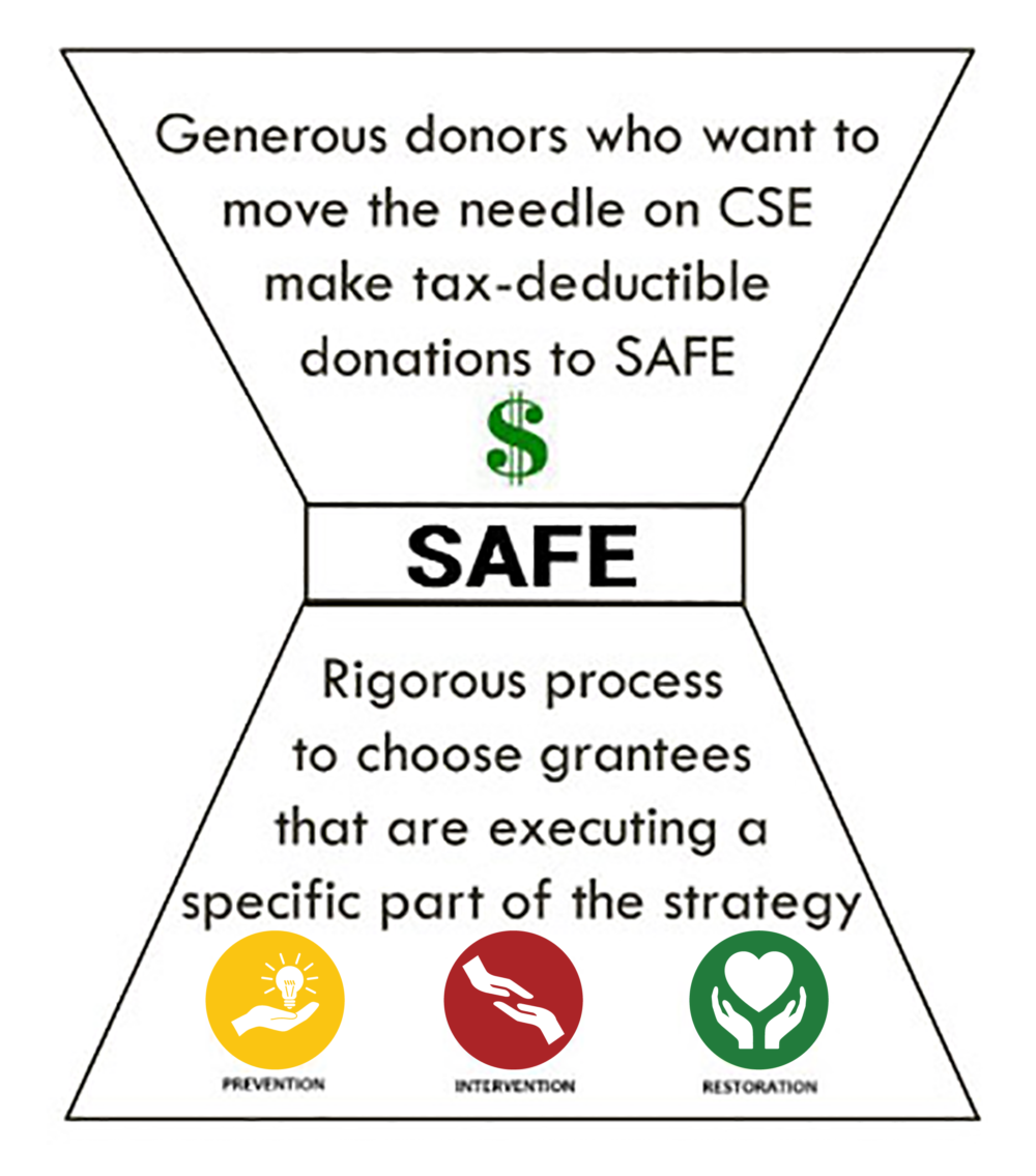 SAFE - Generous donors who want to move the needle on CSE make tax-deductible donations to SAFE. Rigorous process to choose grantees that are executing a specific part of the strategy.